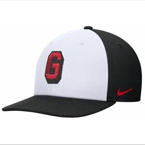 Nike Men's Georgia Bulldogs Cheneille Pro Snapback Adjustable Hat